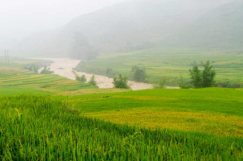 237 - Vietnam - Sapa - paisaje bajo la lluvia